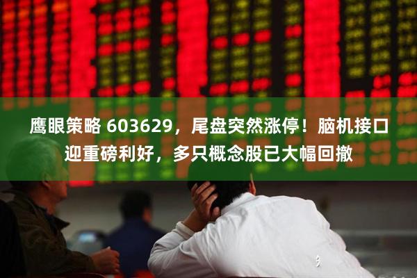 鹰眼策略 603629，尾盘突然涨停！脑机接口迎重磅利好，多只概念股已大幅回撤