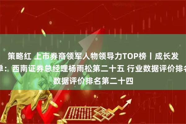 策略红 上市券商领军人物领导力TOP榜丨成长发展券商榜单：西南证券总经理杨雨松第二十五 行业数据评价排名第二十四