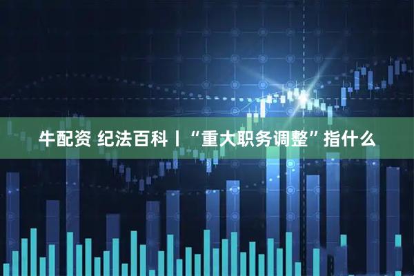 牛配资 纪法百科丨“重大职务调整”指什么