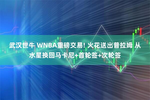 武汉世牛 WNBA重磅交易! 火花送出普拉姆 从水星换回马卡尼+首轮签+次轮签