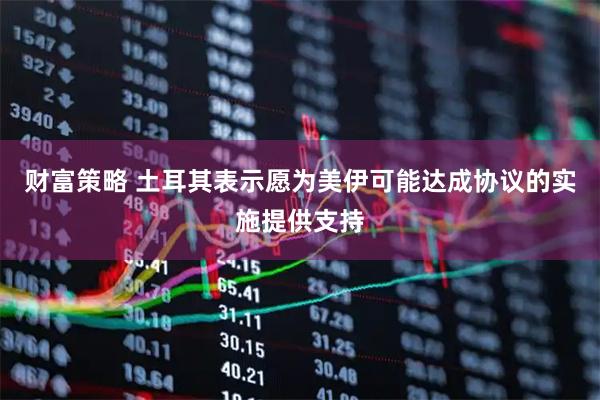 财富策略 土耳其表示愿为美伊可能达成协议的实施提供支持
